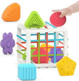 Montessori Sensory Shape Toy Set for Toddlers - Tottotoy – Smart Fun Toys